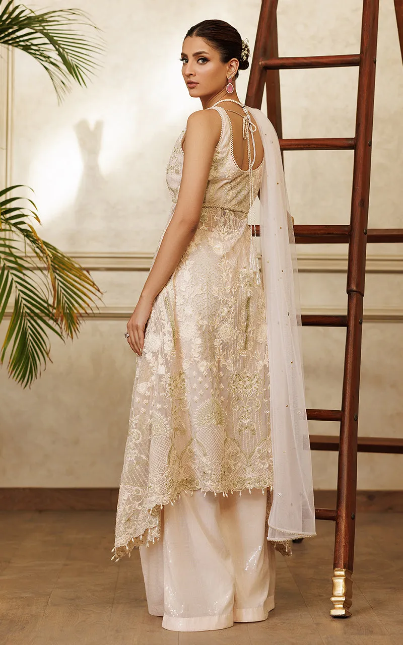 Net Embroidered Dress With Trouser