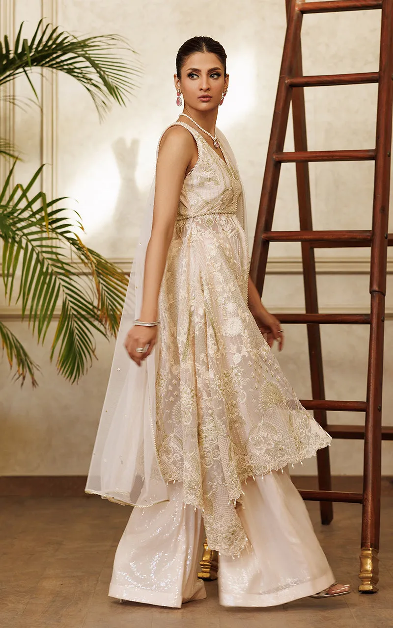 Net Embroidered Dress With Trouser