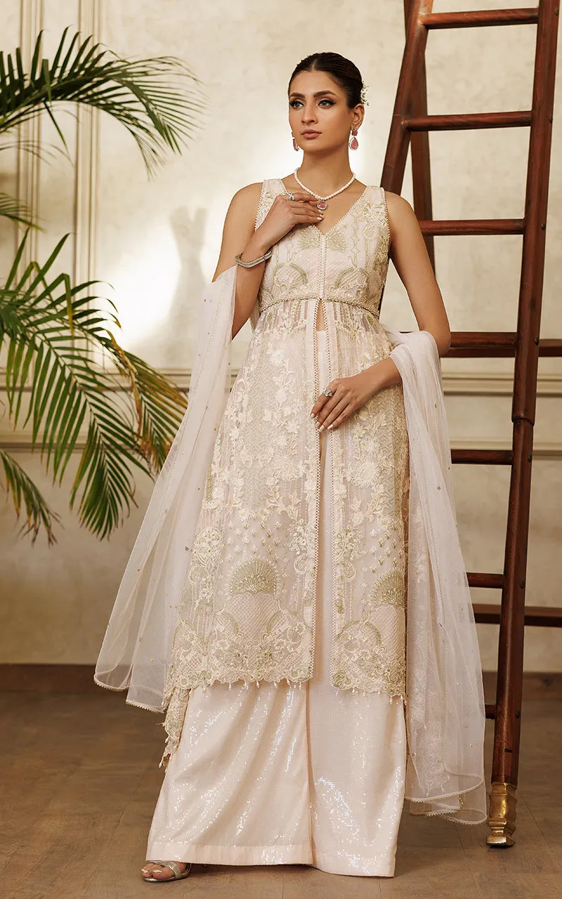 Net Embroidered Dress With Trouser
